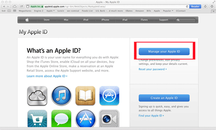 web browser, Apple ID Page